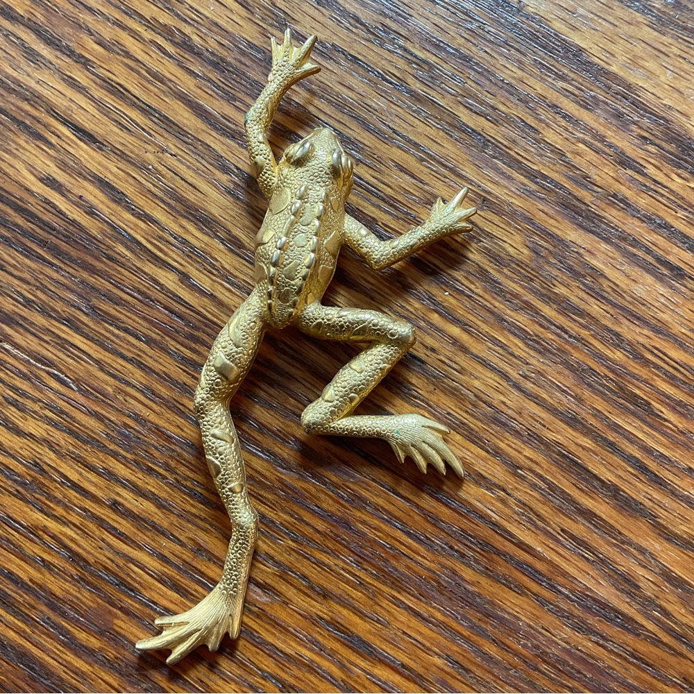 Gold frog pin